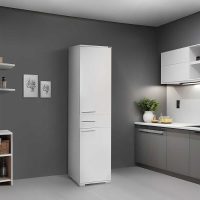 Ντουλάπα ρούχων - παπουτσοθήκη 12 ζεύγων Diamond Megapap μονόφυλλη χρώμα λευκό gloss 45x40x187εκ.