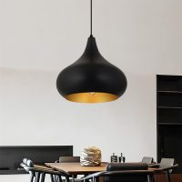 Φωτιστικό οροφής Meril Megapap E27 μεταλλικό μονόφωτο χρώμα μαύρο Ø33x100εκ.