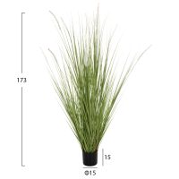 ΔΙΑΚΟΣΜΗΤΙΚΟ ΣΥΝΘΕΤΙΚΟ ΦΥΤΟ HM4017 BRISTLEGRASS ΣΕ ΓΛΑΣΤΡΑ 173Υεκ.