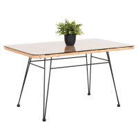 trapezi-exchoroy-chamilo-fb96076-mayro-m ΤΡΑΠΕΖΙ ΕΞ.ΧΩΡΟΥ ΧΑΜΗΛΟ ALLEGRA HM6076 ΜΑΥΡΟ ΜΕΤΑΛΛΟ-ΜΠΕΖ WICKER 95X55X51.5Yεκ.