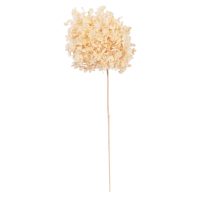 ΔΙΑΚΟΣΜΗΤΙΚΟ ΑΠΟΞΗΡΑΜΕΝΟ ΛΟΥΛΟΥΔΙ ΟΡΤΑΝΣΙΑ HM7954 ΕΚΡΟΥ 55Υεκ.