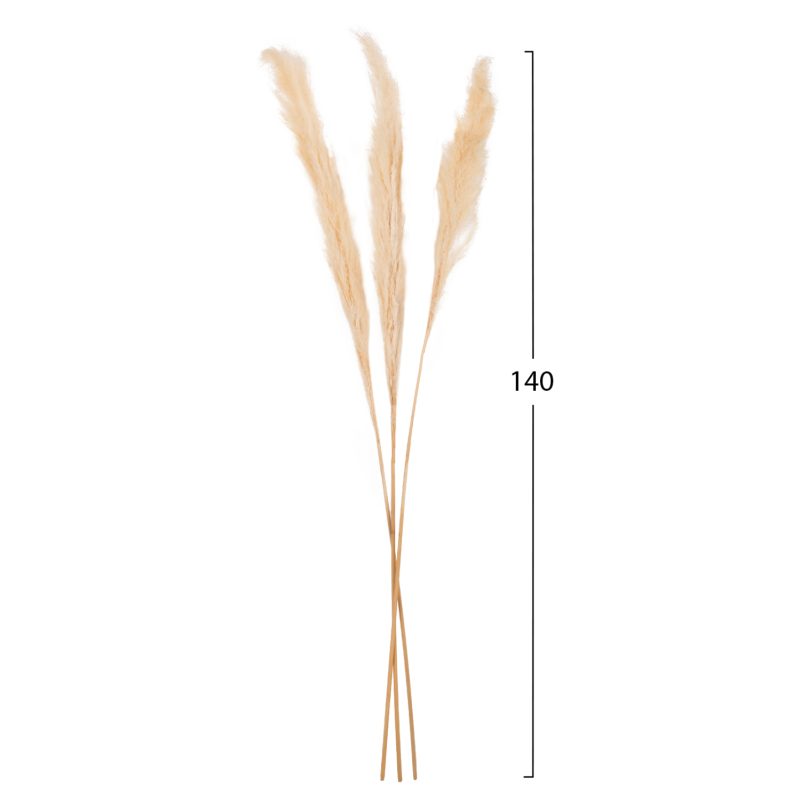 diakosmitiko-mpoyketo-apoxiramena-kalami-1 ΔΙΑΚΟΣΜΗΤΙΚΟ ΜΠΟΥΚΕΤΟ ΑΠΟΞΗΡΑΜΕΝΑ ΚΑΛΑΜΙΑ HM7961 ΛΕΥΚΟ 3TMX 140Υεκ.