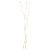 ΔΙΑΚΟΣΜΗΤΙΚΟ ΜΠΟΥΚΕΤΟ HM7967 3ΤΜΧ ΑΠΟΞΗΡΑΜΕΝΩΝ ΚΛΑΔΙΩΝ ΛΕΥΚΗΣ ΜΟΥΡΙΑΣ ΕΚΡΟΥ 180Υεκ.