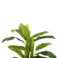 ΔΙΑΚΟΣΜΗΤΙΚΟ ΣΥΝΘΕΤΙΚΟ ΦΥΤΟ HM7968 ΔΕΝΤΡΟ ΜΠΑΝΑΝΑΣ ΣΕ ΓΛΑΣΤΡΑ 123Υεκ.