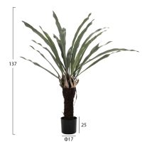 ΔΙΑΚΟΣΜΗΤΙΚΟ ΣΥΝΘΕΤΙΚΟ ΦΥΤΟ HM7975 ΑΣΠΛΕΝΙΟ (ΦΥΛΛΙΤΗΣ Ή ΦΤΕΡΗ) ΣΕ ΓΛΑΣΤΡΑ 137Υεκ.