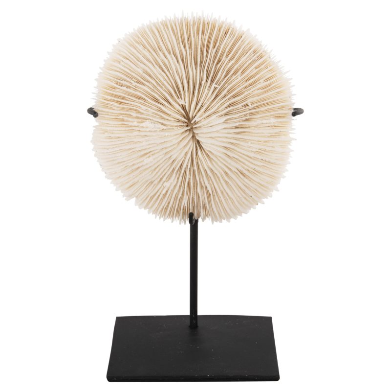 epitrapezio-diakosmitiko-fb94273-korali- ΕΠΙΤΡΑΠΕΖΙΟ ΔΙΑΚΟΣΜΗΤΙΚΟ HM4273 ΚΟΡΑΛΙ ΣΕ ΦΥΣΙΚΟ-ΜΑΥΡΗ ΜΕΤΑΛΛΙΚΗ ΒΑΣΗ 8x8x16Υ εκ.