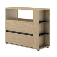 Nael συρταριέρα με δυο συρτάρια  94x40x80εκ. Rookwood Oak