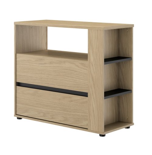 Nael συρταριέρα με δυο συρτάρια  94x40x80εκ. Rookwood Oak