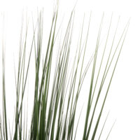 diakosmitiko-synthetiko-fyto-fb94012-gra-2 ΔΙΑΚΟΣΜΗΤΙΚΟ ΣΥΝΘΕΤΙΚΟ ΦΥΤΟ HM4012 GRASS ΣΕ ΓΛΑΣΤΡΑ 120Υεκ.