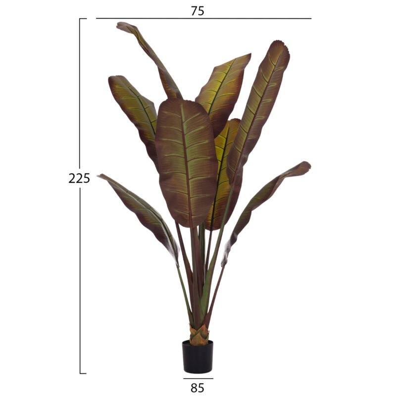 diakosmitiko-synthetiko-fyto-fb94740-iap-1 ΔΙΑΚΟΣΜΗΤΙΚΟ ΣΥΝΘΕΤΙΚΟ ΦΥΤΟ HM4740 ΙΑΠΩΝΙΚΗ ΜΠΑΝΑΝΑ ΣΕ ΓΛΑΣΤΡΑ 85x75x225Υεκ.