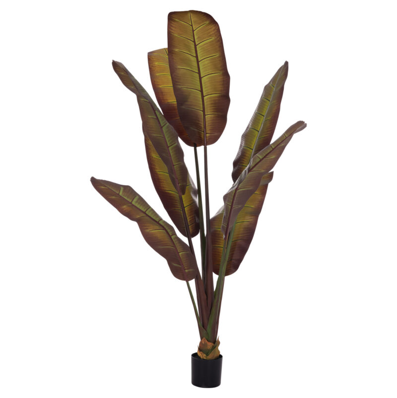 diakosmitiko-synthetiko-fyto-fb94740-iap-2 ΔΙΑΚΟΣΜΗΤΙΚΟ ΣΥΝΘΕΤΙΚΟ ΦΥΤΟ HM4740 ΙΑΠΩΝΙΚΗ ΜΠΑΝΑΝΑ ΣΕ ΓΛΑΣΤΡΑ 85x75x225Υεκ.