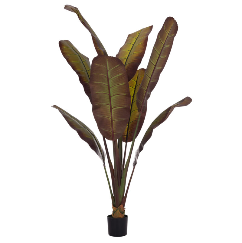 diakosmitiko-synthetiko-fyto-fb94740-iap ΔΙΑΚΟΣΜΗΤΙΚΟ ΣΥΝΘΕΤΙΚΟ ΦΥΤΟ HM4740 ΙΑΠΩΝΙΚΗ ΜΠΑΝΑΝΑ ΣΕ ΓΛΑΣΤΡΑ 85x75x225Υεκ.