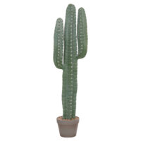 diakosmitiko-synthetiko-fyto-fb94742-kak ΔΙΑΚΟΣΜΗΤΙΚΟ ΣΥΝΘΕΤΙΚΟ ΦΥΤΟ HM4742 ΚΑΚΤΟΣ ΜΕ ΓΛΑΣΤΡΑ 17,5x26x103Υεκ.