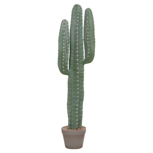 ΔΙΑΚΟΣΜΗΤΙΚΟ ΣΥΝΘΕΤΙΚΟ ΦΥΤΟ HM4742 ΚΑΚΤΟΣ ΜΕ ΓΛΑΣΤΡΑ 17,5x26x103Υεκ.