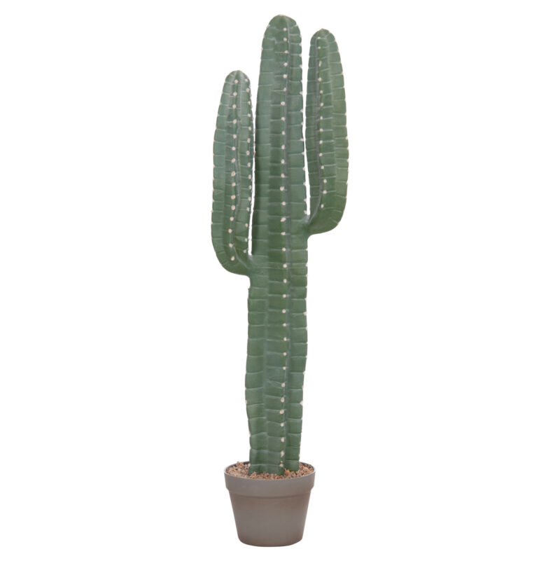 diakosmitiko-synthetiko-fyto-fb94742-kak ΔΙΑΚΟΣΜΗΤΙΚΟ ΣΥΝΘΕΤΙΚΟ ΦΥΤΟ HM4742 ΚΑΚΤΟΣ ΜΕ ΓΛΑΣΤΡΑ 17,5x26x103Υεκ.