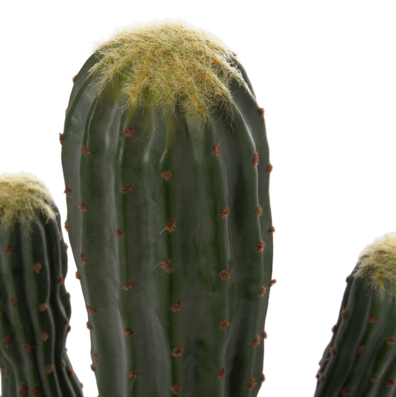 diakosmitiko-synthetiko-fyto-fb94746-kak-2 ΔΙΑΚΟΣΜΗΤΙΚΟ ΣΥΝΘΕΤΙΚΟ ΦΥΤΟ HM4746 ΚΑΚΤΟΣ ΜΕ ΓΛΑΣΤΡΑ 17,5x42x113Υεκ.