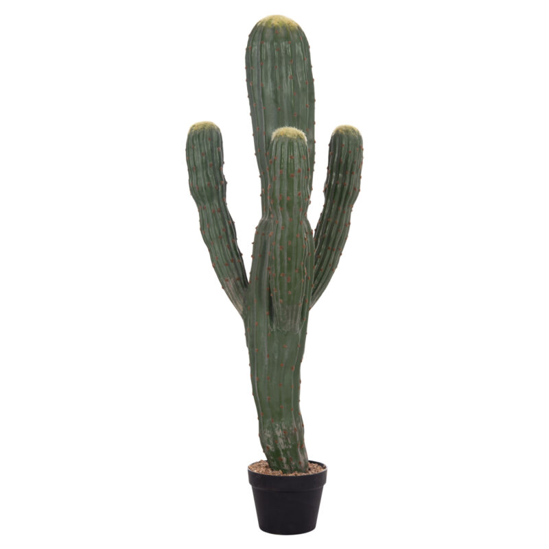 diakosmitiko-synthetiko-fyto-fb94746-kak ΔΙΑΚΟΣΜΗΤΙΚΟ ΣΥΝΘΕΤΙΚΟ ΦΥΤΟ HM4746 ΚΑΚΤΟΣ ΜΕ ΓΛΑΣΤΡΑ 17,5x42x113Υεκ.