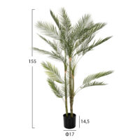 diakosmitiko-synthetiko-fyto-fb97970-kwa-1 ΔΙΑΚΟΣΜΗΤΙΚΟ ΣΥΝΘΕΤΙΚΟ ΦΥΤΟ HM7970 KWAI TREE ΣΕ ΓΛΑΣΤΡΑ Φ17x14,5-155Υεκ.