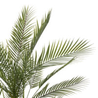 diakosmitiko-synthetiko-fyto-fb97970-kwa-2 ΔΙΑΚΟΣΜΗΤΙΚΟ ΣΥΝΘΕΤΙΚΟ ΦΥΤΟ HM7970 KWAI TREE ΣΕ ΓΛΑΣΤΡΑ Φ17x14,5-155Υεκ.