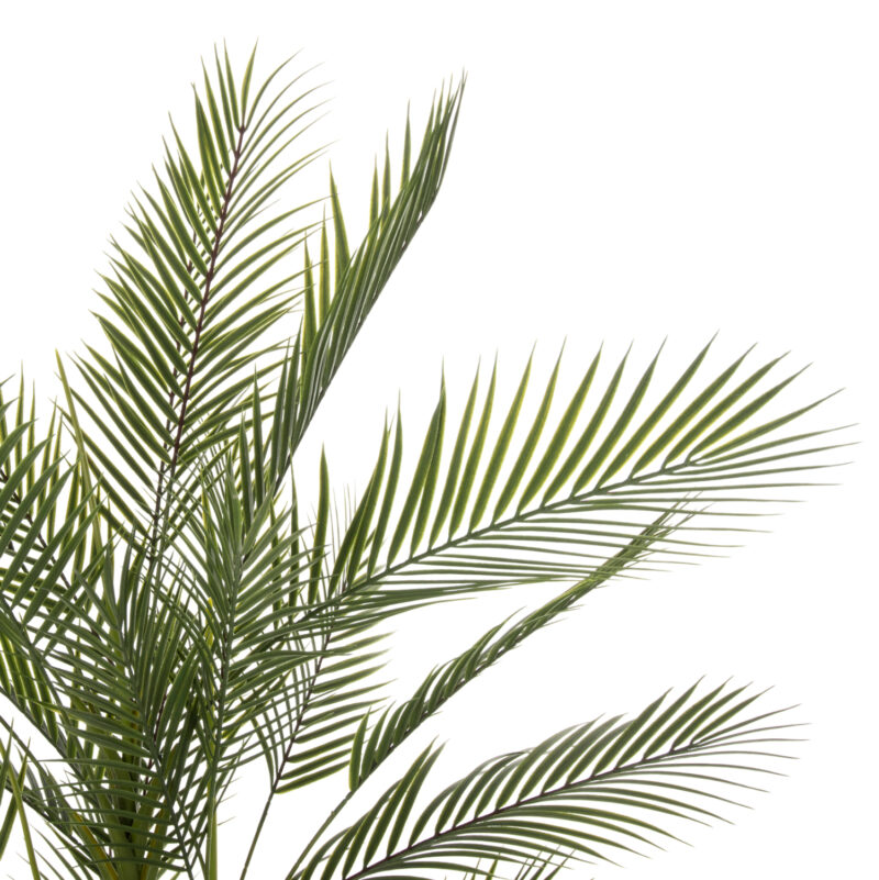 diakosmitiko-synthetiko-fyto-fb97970-kwa-2 ΔΙΑΚΟΣΜΗΤΙΚΟ ΣΥΝΘΕΤΙΚΟ ΦΥΤΟ HM7970 KWAI TREE ΣΕ ΓΛΑΣΤΡΑ Φ17x14,5-155Υεκ.