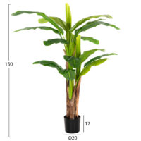 diakosmitiko-synthetiko-fyto-fb97977-den-1 ΔΙΑΚΟΣΜΗΤΙΚΟ ΣΥΝΘΕΤΙΚΟ ΦΥΤΟ HM7977 ΔΕΝΤΡΟ ΜΠΑΝΑΝΑΣ ΣΕ ΓΛΑΣΤΡΑ 150Υεκ.