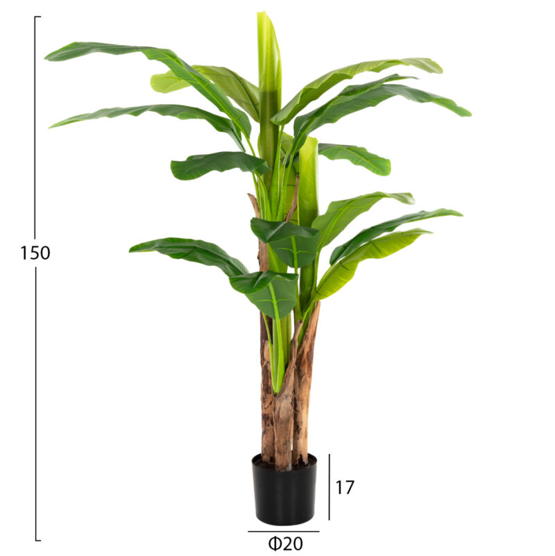 diakosmitiko-synthetiko-fyto-fb97977-den-1 ΔΙΑΚΟΣΜΗΤΙΚΟ ΣΥΝΘΕΤΙΚΟ ΦΥΤΟ HM7977 ΔΕΝΤΡΟ ΜΠΑΝΑΝΑΣ ΣΕ ΓΛΑΣΤΡΑ 150Υεκ.