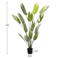 diakosmitiko-synthetiko-fyto-fb97997-cal-1 ΔΙΑΚΟΣΜΗΤΙΚΟ ΣΥΝΘΕΤΙΚΟ ΦΥΤΟ HM7997 CALATHEA ΣΕ ΓΛΑΣΤΡΑ 140Υεκ.