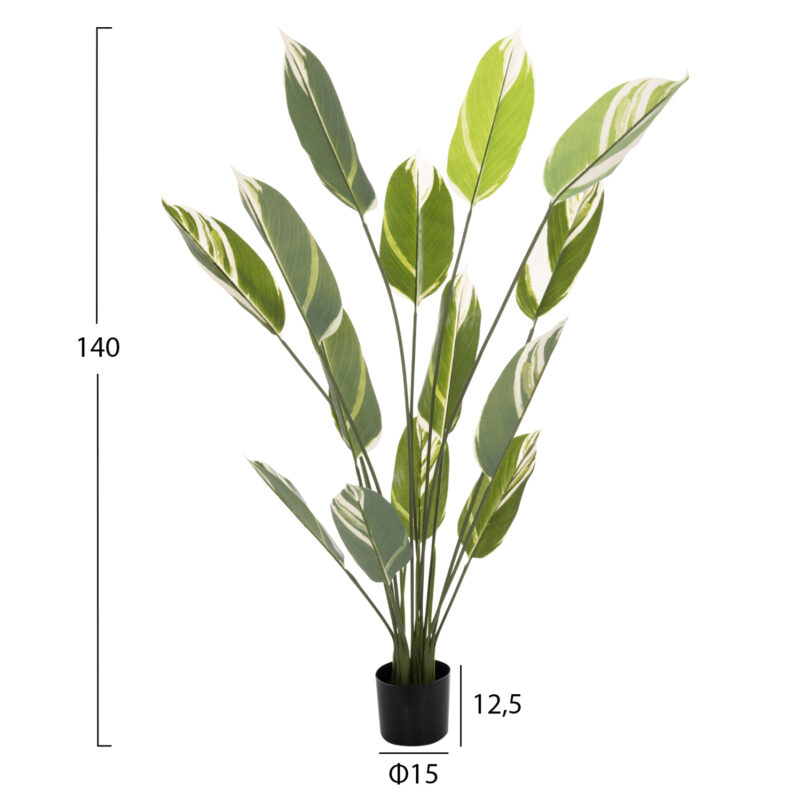 diakosmitiko-synthetiko-fyto-fb97997-cal-1 ΔΙΑΚΟΣΜΗΤΙΚΟ ΣΥΝΘΕΤΙΚΟ ΦΥΤΟ HM7997 CALATHEA ΣΕ ΓΛΑΣΤΡΑ 140Υεκ.