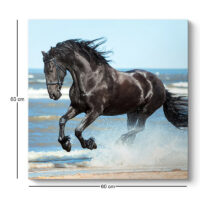 Πίνακας σε καμβά "Black Horse" Megapap ψηφιακής εκτύπωσης 60x60x3εκ.