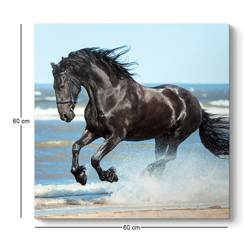 Πίνακας σε καμβά "Black Horse" Megapap ψηφιακής εκτύπωσης 60x60x3εκ.
