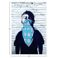 ΠΙΝΑΚΑΣ TOIXOY ΣΕΙΡΑ GOBI HM4829 ΕΚΤΥΠΩΜΕΝΟΣ ΚΑΜΒΑΣ 50x3(πάχος)x70Yεκ.