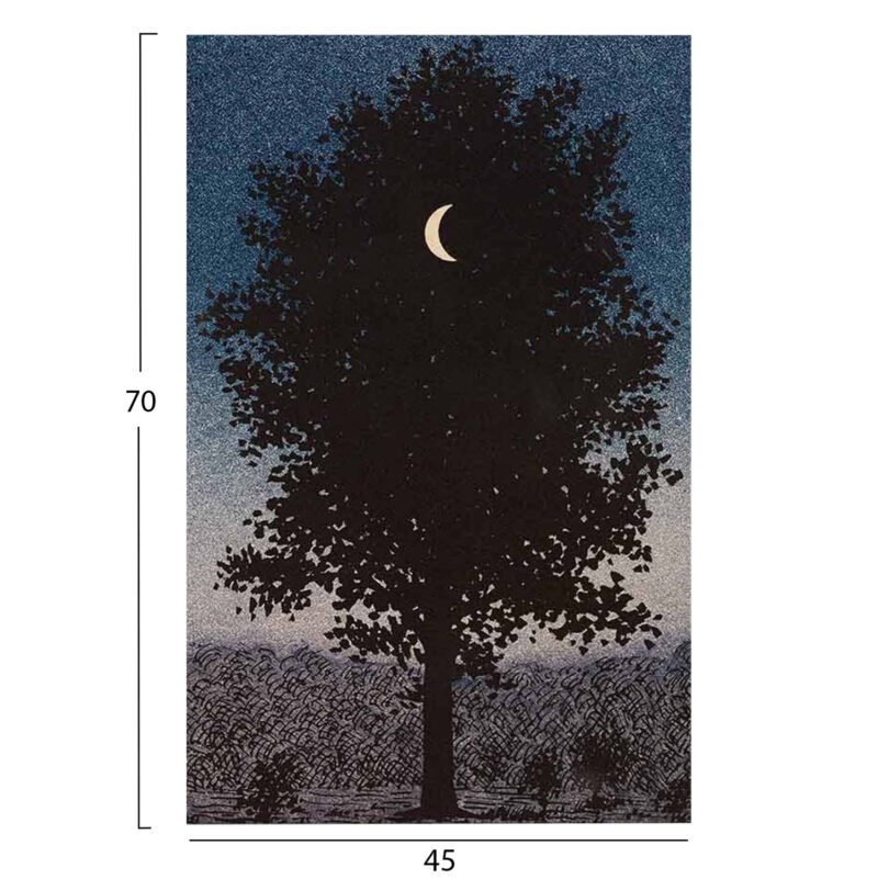 ΠΙΝΑΚΑΣ TOIXOY ΣΕΙΡΑ GOBI HM4850 ΕΚΤΥΠΩΜΕΝΟΣ ΚΑΜΒΑΣ 45x3(πάχος)x70Yεκ.