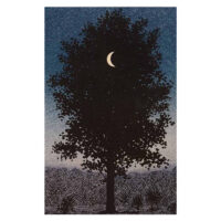 ΠΙΝΑΚΑΣ TOIXOY ΣΕΙΡΑ GOBI HM4850 ΕΚΤΥΠΩΜΕΝΟΣ ΚΑΜΒΑΣ 45x3(πάχος)x70Yεκ.