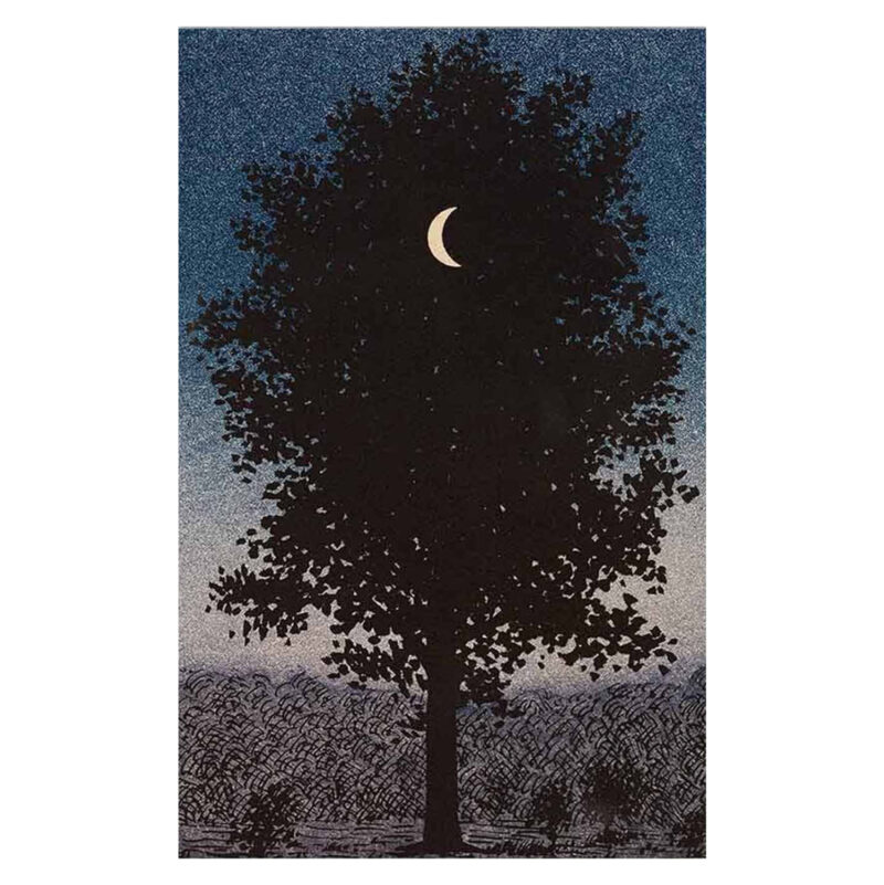 ΠΙΝΑΚΑΣ TOIXOY ΣΕΙΡΑ GOBI HM4850 ΕΚΤΥΠΩΜΕΝΟΣ ΚΑΜΒΑΣ 45x3(πάχος)x70Yεκ.