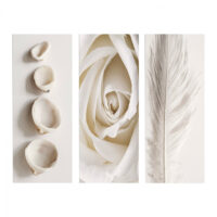 ΠΙΝΑΚΑΣ ΤΡΙΠΤΥΧΟ MDF NATURAL ELEMENTS HM7204.05 60X0,3X50 εκ.