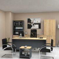 Βιβλιοθήκη γραφείου επαγγελματική Venturo Megapap χρώμα ανθρακί - φυσικό οξιάς 80x40x200εκ.