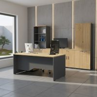 Ντουλάπα γραφείου επαγγελματική Venturo Megapap χρώμα ανθρακί - φυσικό οξιάς 80x40x200εκ.