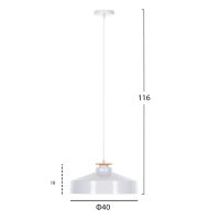 ΦΩΤΙΣΤΙΚΟ ΟΡΟΦΗΣ ΚΡΕΜΑΣΤΟ HM4159.02 ΛΕΥΚΟ ΜΕΤΑΛΛΙΚΟ ΚΑΠΕΛΟ Φ40x116Υεκ